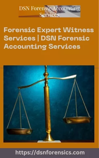 Forensic Expert Witness Services  DSN Forensic Accounting Services