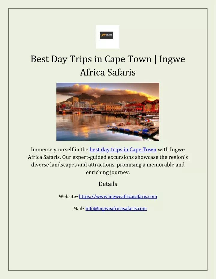 best day trips in cape town ingwe africa safaris