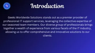 Professional It support services
