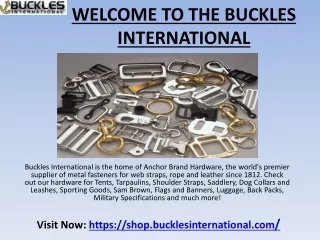 Stainless Steel Quick Link at Buckles International