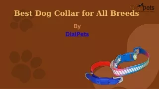 Best Dog Collar for All Breeds in india