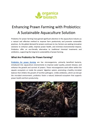 Probiotics for Prawn Farming