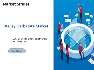 Benzyl Carbazate Market