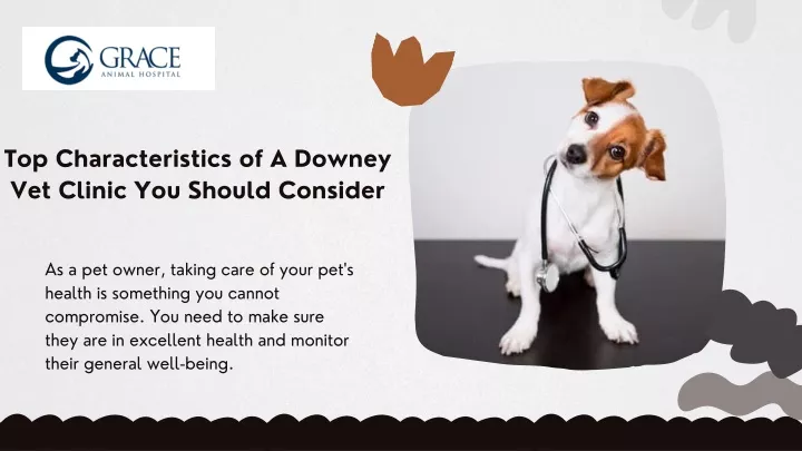 top characteristics of a downey vet clinic