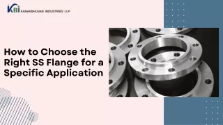 How to Choose the Right SS Flange for a Specific Application