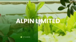 alpin limited