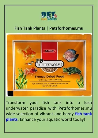 Fish Tank Plants  Petsforhomes.mu