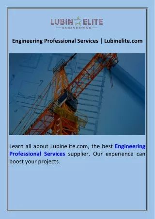 Engineering Professional Services  Lubinelite.com