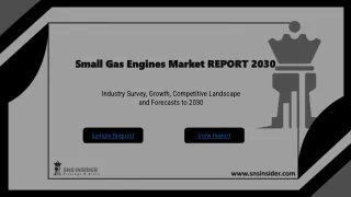 small gas engines market small gas engines market