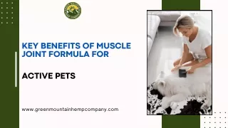 Key Benefits of Muscle Joint Formula for Active Pets