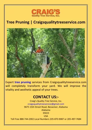 Tree Pruning  Craigsqualitytreeservice.com