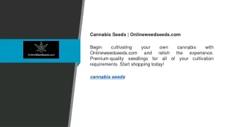 Cannabis Seeds  Onlineweedseeds.com