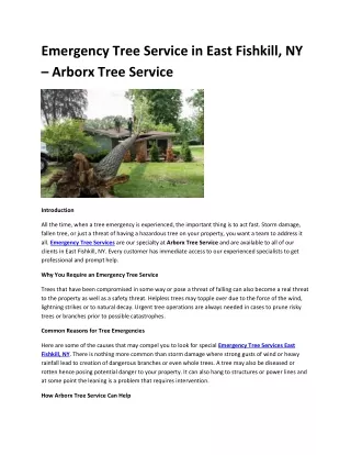 Emergency Tree Service in East Fishkill