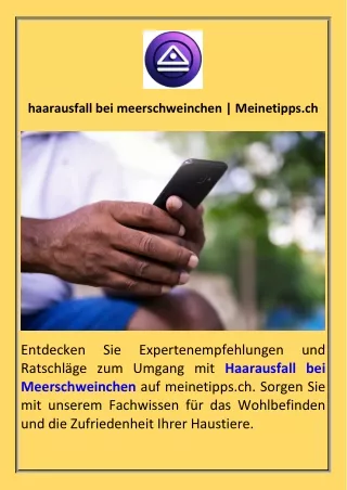 haarausfall bei meerschweinchen  Meinetipps.ch
