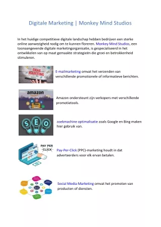 Digitale marketing | Monkey Mind Studios