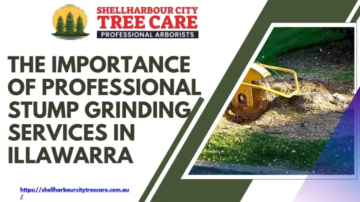 the importance of professional stump grinding