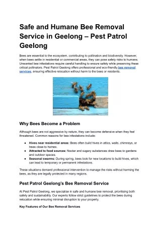 Safe and Humane Bee Removal Service in Geelong – Pest Patrol Geelong