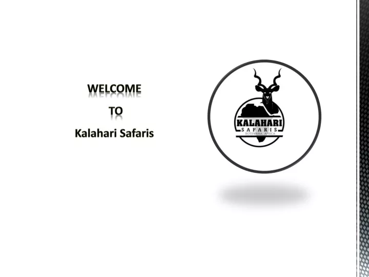 welcome to kalahari safaris