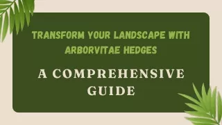 Why Arborvitae Hedges Are the Ideal Choice for Your Landscape