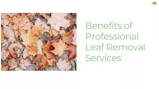 Benefits of Professional Leaf Removal Services