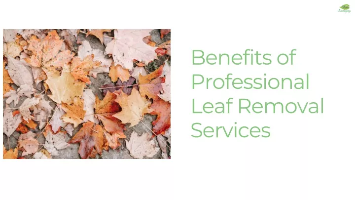 benefits of professional leaf removal services