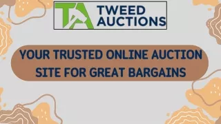 Premier Online Auction Site for Unique Finds and Deals
