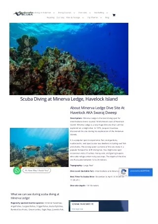 Explore Minerva Ledge Dive Site on Havelock Island