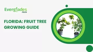 Florida: Fruit Tree Growing Guide