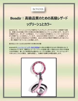 BONDIR：高級品質のための高級レザードッグリーシュとカラー