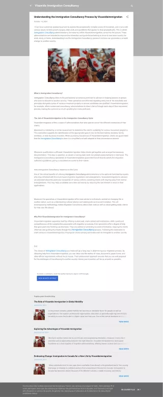 Understanding the Immigration Consultancy Process by Visawideimmigration