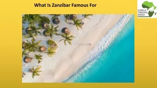 what is zanzibar famous for