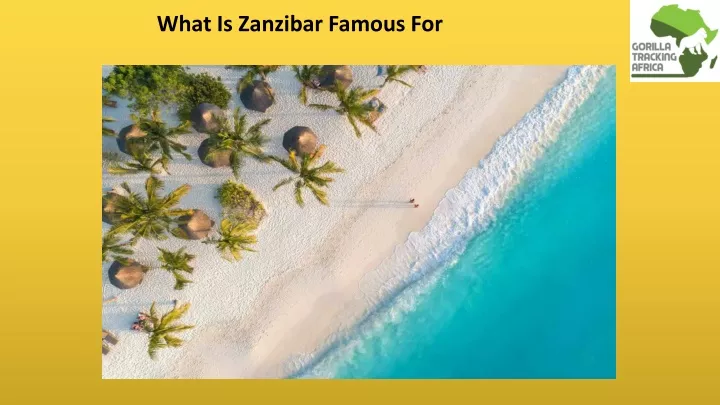 what is zanzibar famous for