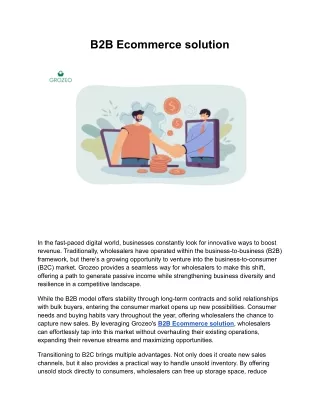 B2B Ecommerce Solution