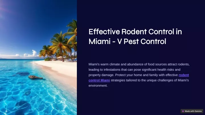 effective rodent control in miami v pest control