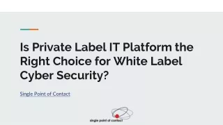 Is Private Label IT Platform the Right Choice for White Label Cyber Security?