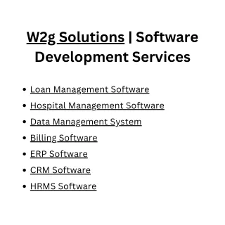 w2g solutions software development services
