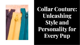 collar couture unleashlng style and personallty
