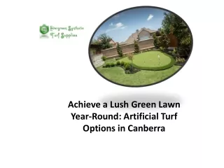 Achieve a Lush Green Lawn Year-Round: Artificial Turf Options in Canberra