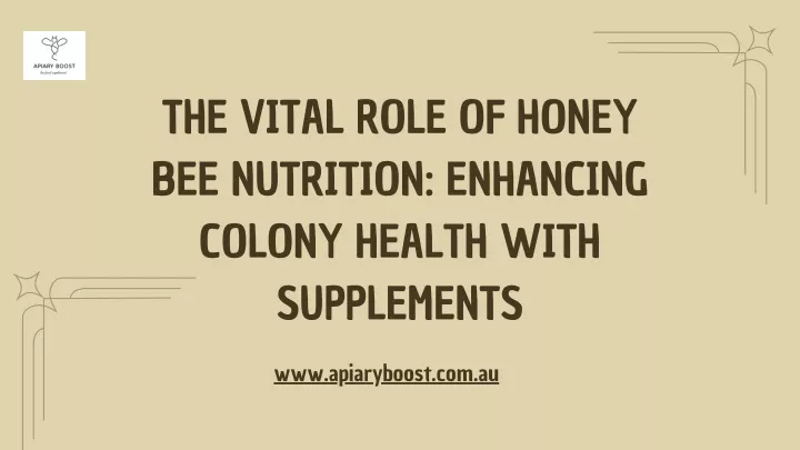 the vital role of honey bee nutrition enhancing