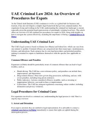 UAE Criminal Law 2024 An Overview of Procedures for Expats