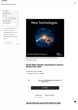 Global Water Pipeline Leak Detection Systems Market 2024-2030