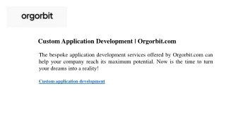 Custom Application Development Orgorbit.com