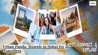 urban panda hostels in dubai for travellers