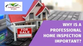 Why Is a Professional Home Inspection Important?