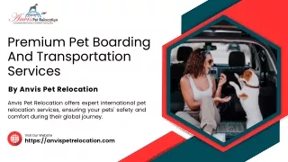 Premium Pet Boarding Services by Anvis Pet Relocation