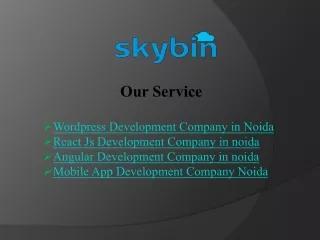 Top Angular Development Company in Noida | Skybin