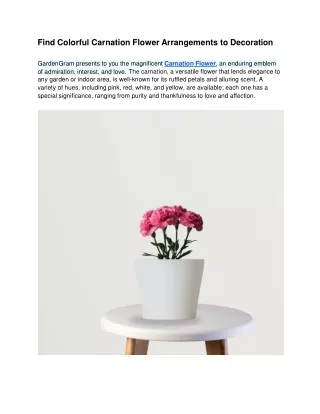 find colorful carnation flower arrangements
