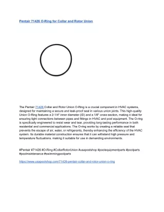 Pentair 71426 O-Ring for Collar and Rotor Union