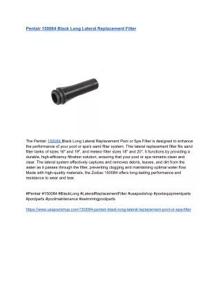 Pentair 150084 Black Long Lateral Replacement Filter