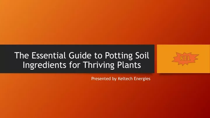 the essential guide to potting soil ingredients for thriving plants